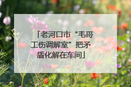 老河口市“毛哥工伤调解室”把矛盾化解在车间