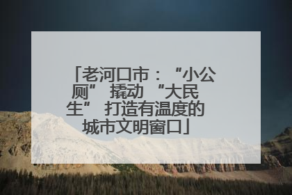 老河口市：“小公厕” 撬动 “大民生” 打造有温度的城市文明窗口