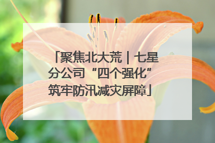 聚焦北大荒｜七星分公司“四个强化”筑牢防汛减灾屏障