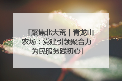 聚焦北大荒｜青龙山农场：党建引领聚合力 为民服务践初心