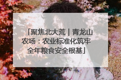 聚焦北大荒｜青龙山农场：农业标准化筑牢全年粮食安全根基