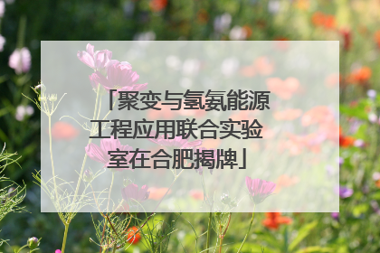 聚变与氢氨能源工程应用联合实验室在合肥揭牌