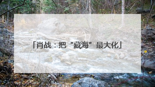 肖战：把“藏海”最大化
