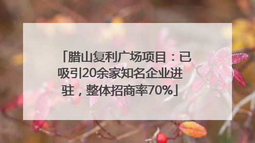 腊山复利广场项目：已吸引20余家知名企业进驻，整体招商率70%