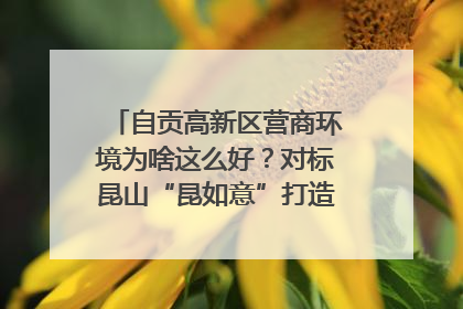 自贡高新区营商环境为啥这么好？对标昆山“昆如意”打造自贡“高兴办”｜美好生活有“盐”味