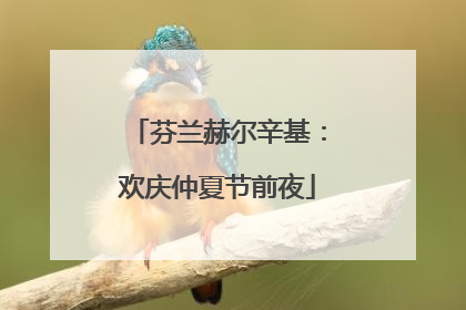 芬兰赫尔辛基：欢庆仲夏节前夜