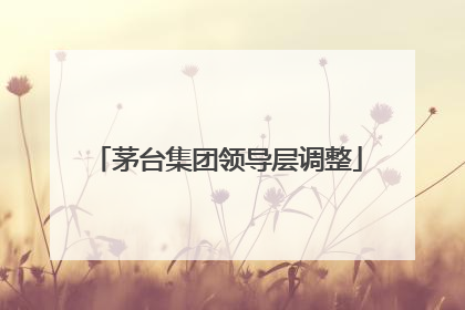 茅台集团领导层调整