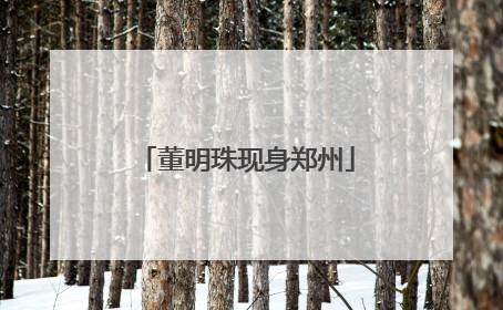 董明珠现身郑州