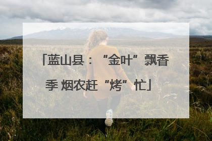 蓝山县：“金叶”飘香季 烟农赶“烤”忙