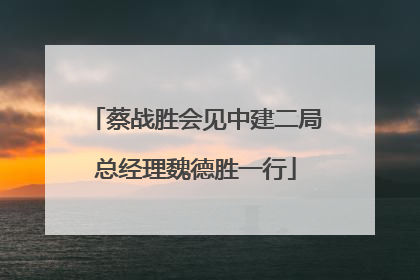 蔡战胜会见中建二局总经理魏德胜一行