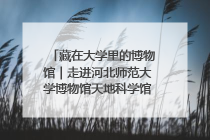 藏在大学里的博物馆｜走进河北师范大学博物馆天地科学馆：在校园里赴一场“宇宙之约”