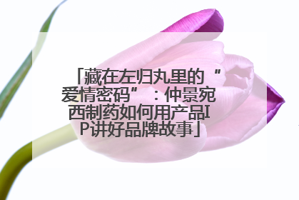 藏在左归丸里的“爱情密码”：仲景宛西制药如何用产品IP讲好品牌故事