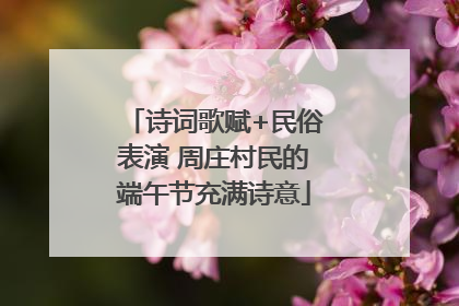 诗词歌赋+民俗表演 周庄村民的端午节充满诗意