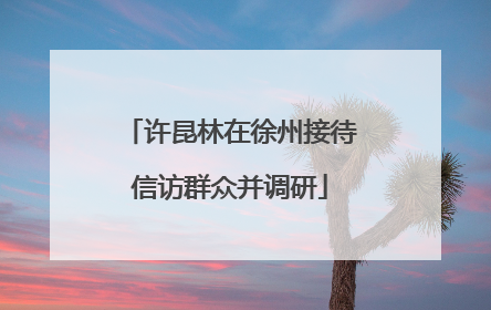 许昆林在徐州接待信访群众并调研