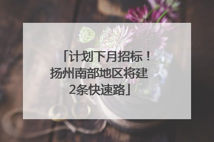 计划下月招标！扬州南部地区将建2条快速路