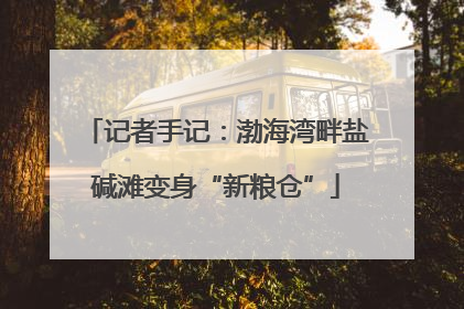 记者手记：渤海湾畔盐碱滩变身“新粮仓”