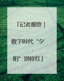 记者观察｜数字时代“夕阳”别样红