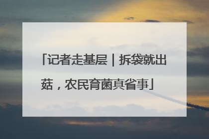 记者走基层｜拆袋就出菇，农民育菌真省事