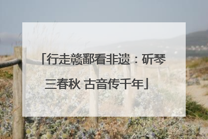 行走赣鄱看非遗：斫琴三春秋 古音传千年