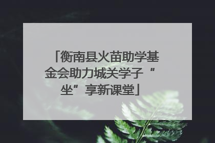 衡南县火苗助学基金会助力城关学子“坐”享新课堂