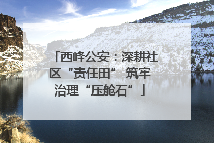 西峰公安：深耕社区“责任田” 筑牢治理“压舱石”