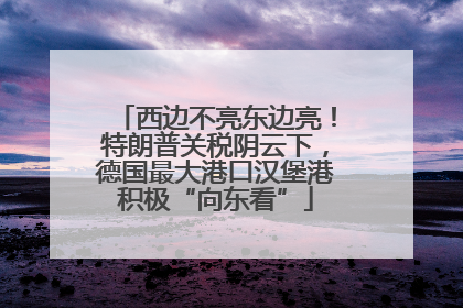 西边不亮东边亮！特朗普关税阴云下，德国最大港口汉堡港积极“向东看”