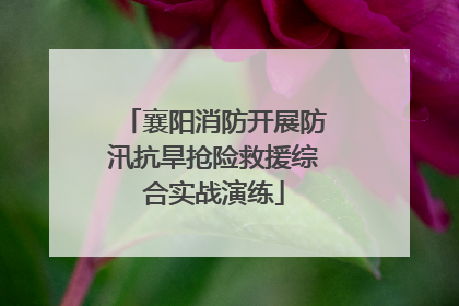 襄阳消防开展防汛抗旱抢险救援综合实战演练