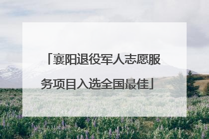 襄阳退役军人志愿服务项目入选全国最佳
