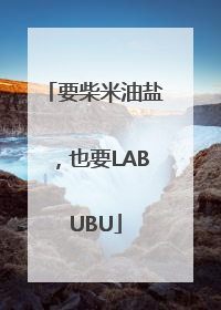 要柴米油盐，也要LABUBU