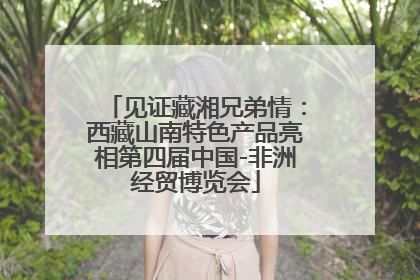 见证藏湘兄弟情：西藏山南特色产品亮相第四届中国-非洲经贸博览会
