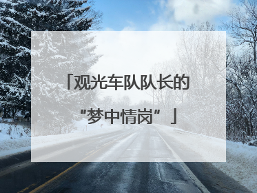 观光车队队长的“梦中情岗”