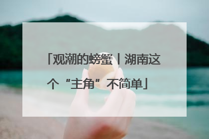 观潮的螃蟹丨湖南这个“主角”不简单