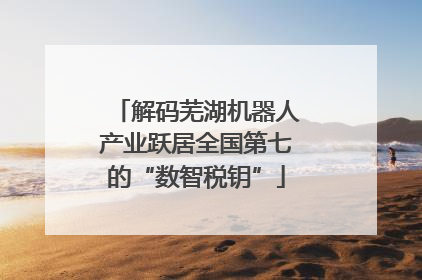 解码芜湖机器人产业跃居全国第七的“数智税钥”
