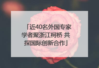 近40名外国专家学者聚浙江柯桥 共探国际创新合作