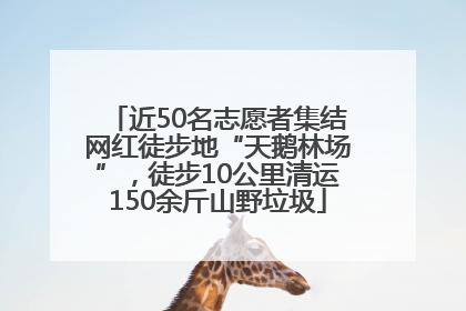 近50名志愿者集结网红徒步地“天鹅林场”，徒步10公里清运150余斤山野垃圾