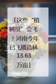 这些“植树员”会飞！河南今年已飞播造林13.63万亩
