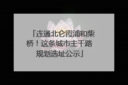 连通北仑霞浦和柴桥！这条城市主干路规划选址公示