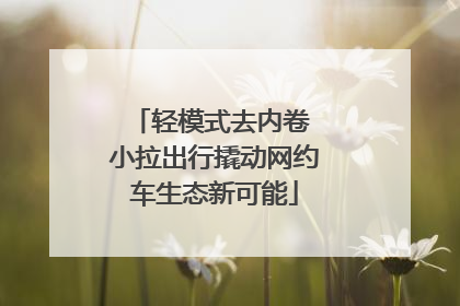 轻模式去内卷 小拉出行撬动网约车生态新可能