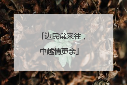 边民常来往，中越情更亲