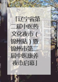 辽宁省第二届中医药文化夜市（锦州站）暨锦州市第二届中医康养夜市启幕