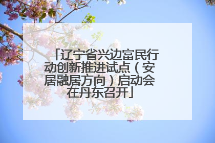 辽宁省兴边富民行动创新推进试点（安居融居方向）启动会在丹东召开