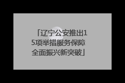 辽宁公安推出15项举措服务保障全面振兴新突破