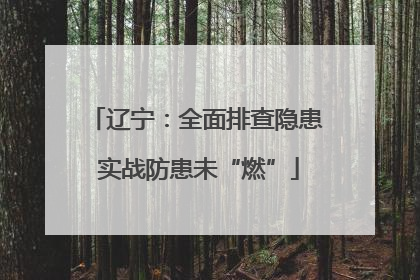辽宁：全面排查隐患 实战防患未“燃”