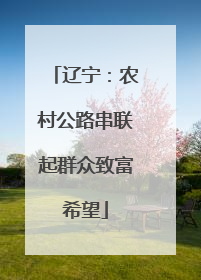辽宁：农村公路串联起群众致富希望