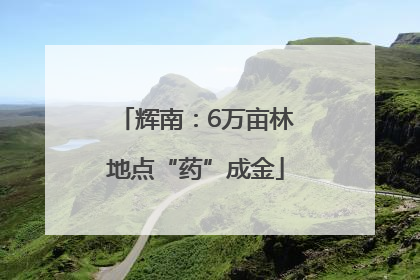 辉南：6万亩林地点“药”成金