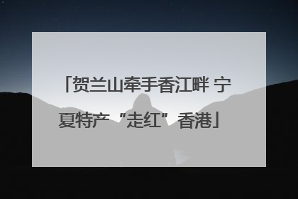 贺兰山牵手香江畔 宁夏特产“走红”香港