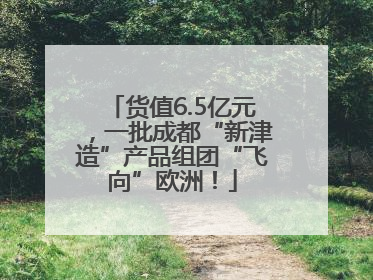 货值6.5亿元，一批成都“新津造”产品组团“飞向”欧洲！