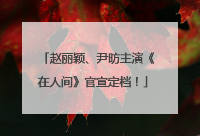 赵丽颖、尹昉主演《在人间》官宣定档！