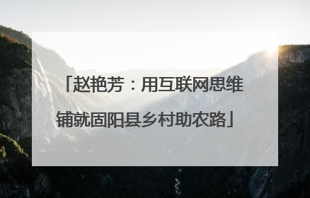 赵艳芳：用互联网思维铺就固阳县乡村助农路