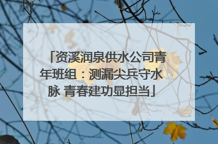 资溪润泉供水公司青年班组：测漏尖兵守水脉 青春建功显担当